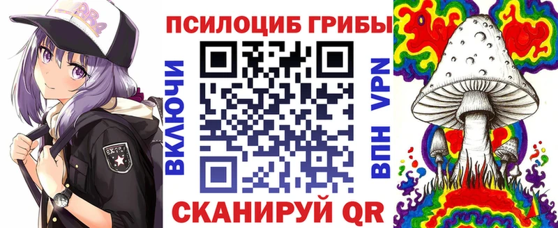 Купить где  Торопец  Псилоцибиновые грибы Psilocybine cubensis 